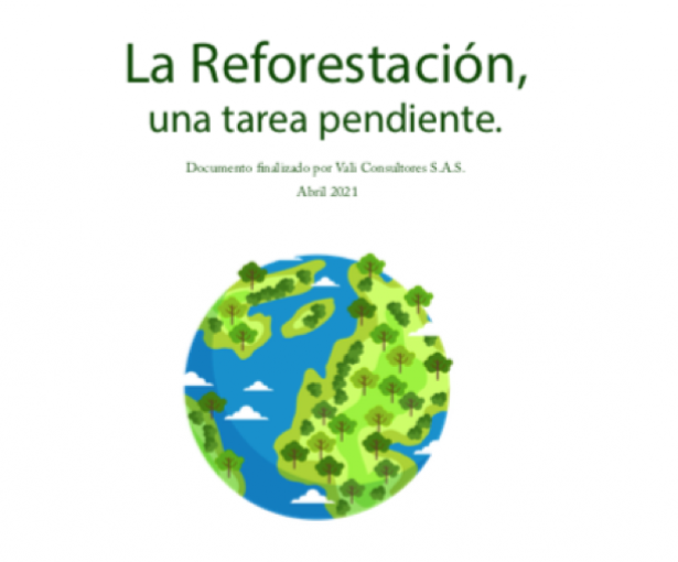 ReforestacionPaper.ValiConsultores