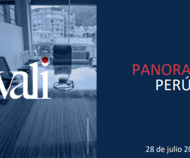 ANALISIS PANORAMA PERU - VALI CONSULTORES
